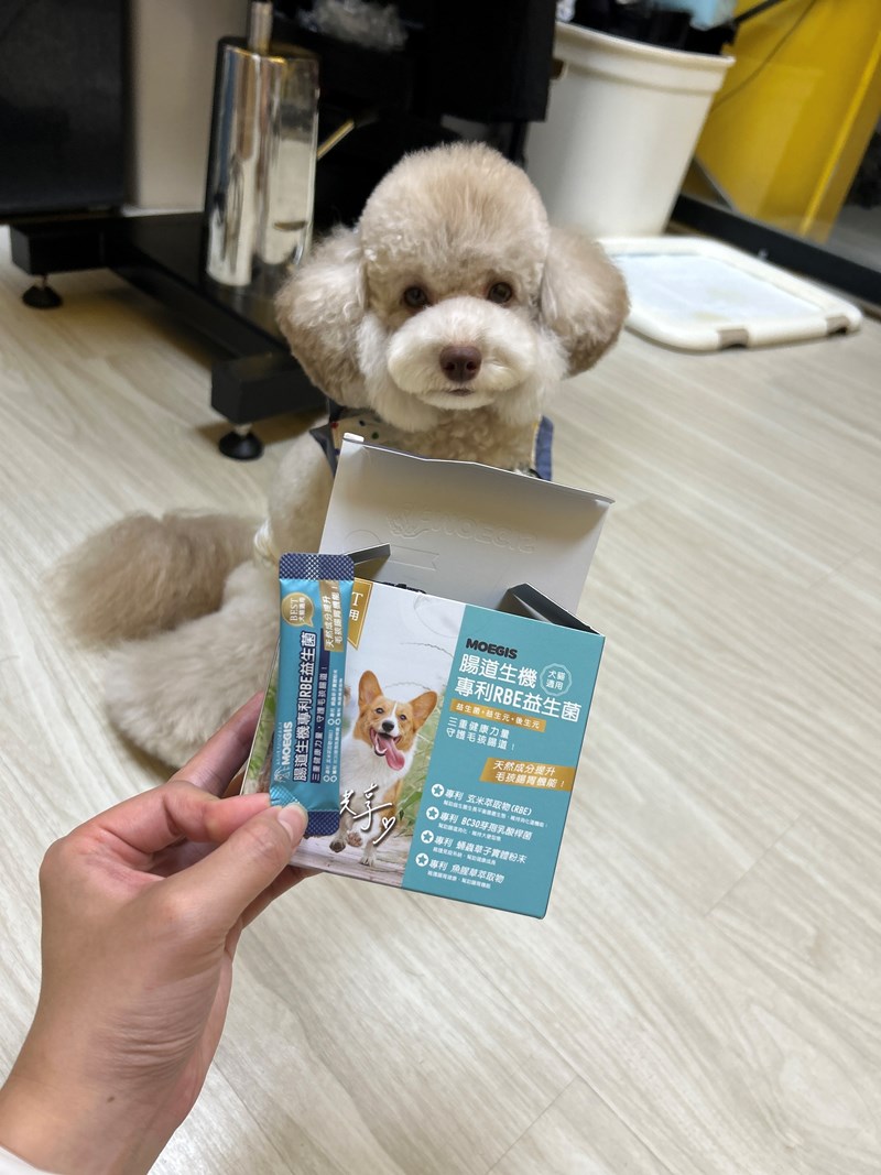 女人知己試用大隊,口碑行銷,部落客行銷,Moegis萌吉 腸道生機專利RBE益生菌,寵物益生菌,專利RBE益生元,專利蔬果酵素,小分子胜肽,藍藻粉,維持免疫力,幫助維持消化道機能,維持正常食慾,改變細菌叢生態,腸胃保健,犬貓適用